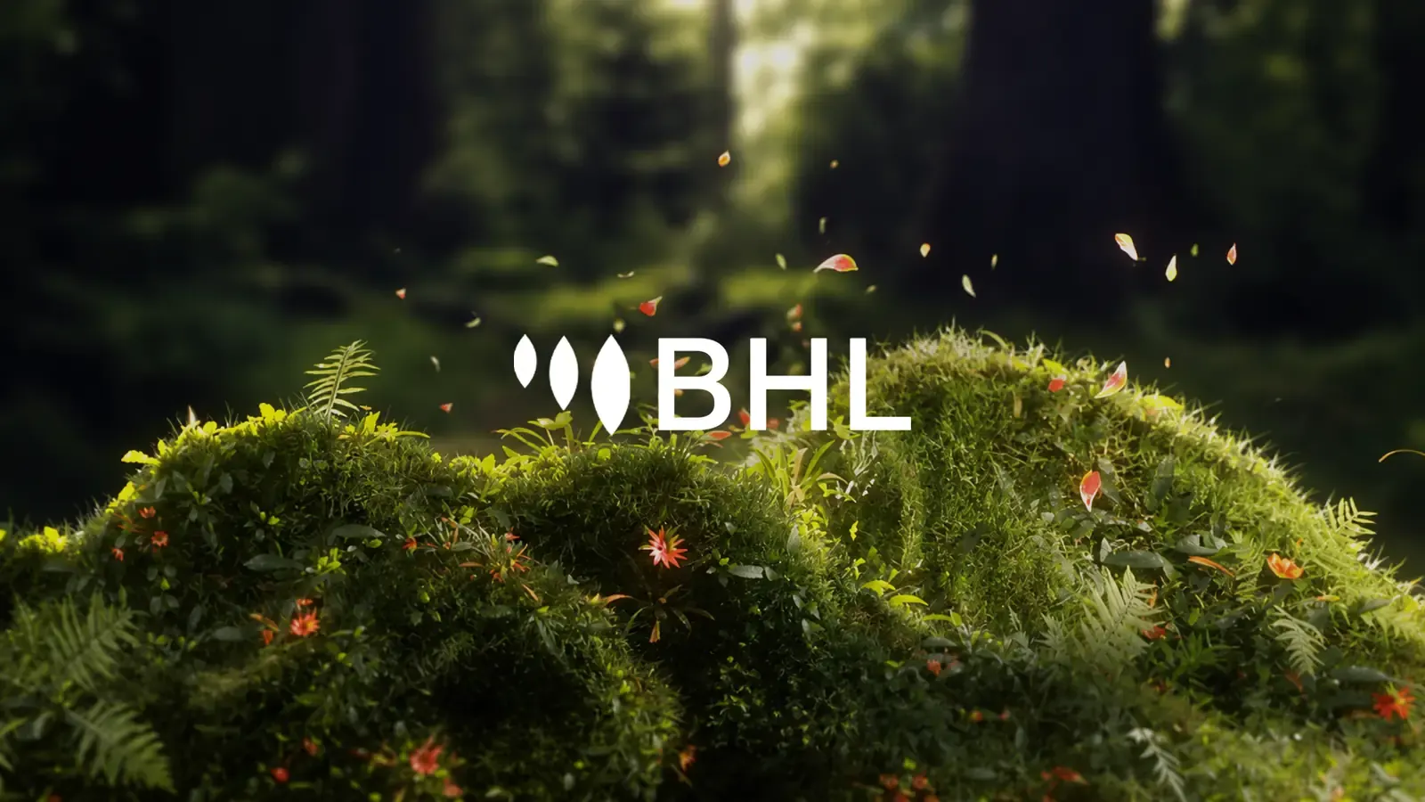 The BHL logo above a hill of moss, ferns and small red flowers in a forest